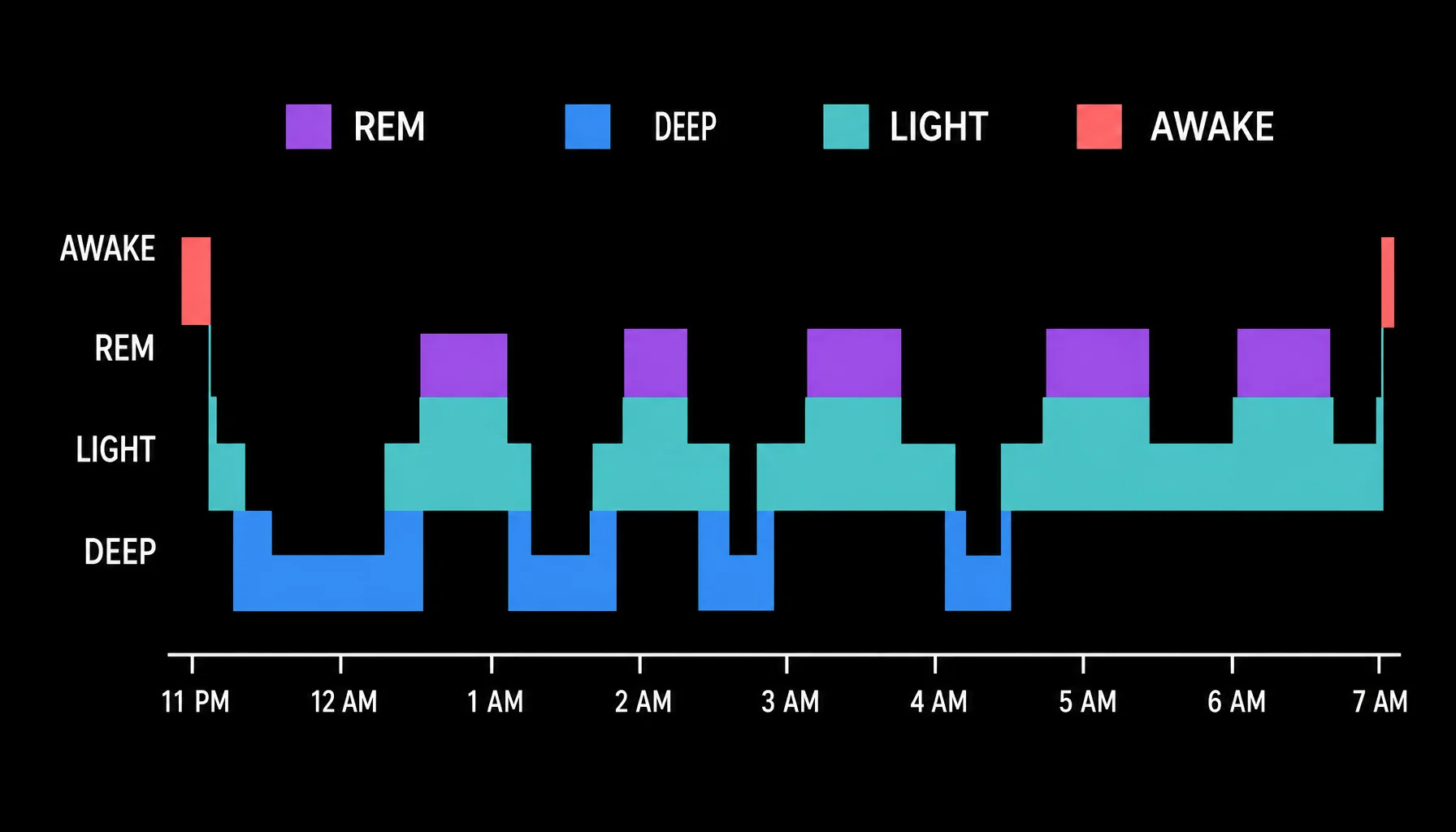 Phases du sommeil